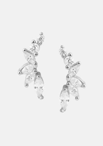 Øreringe Leaf Studs - Forsølvede
